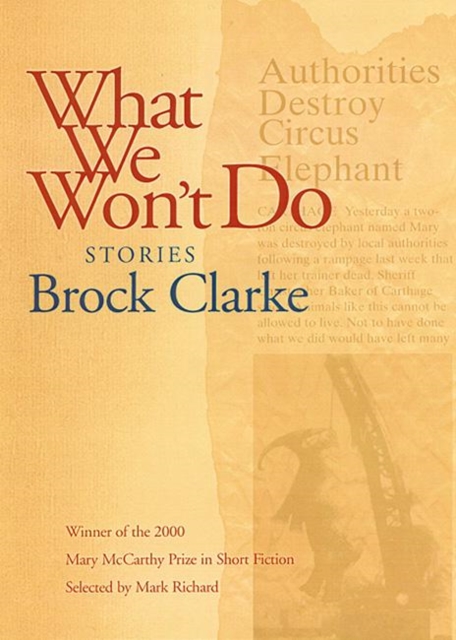 What We Won't Do : Stories, Paperback / softback Book