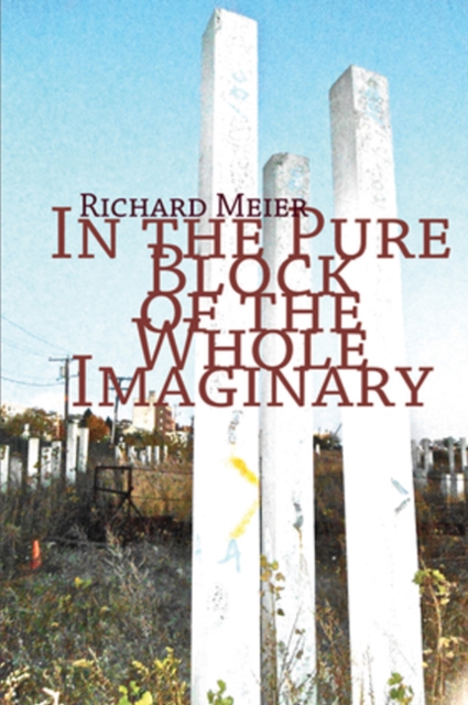 In the Pure Block of the Pure Imaginery, Paperback / softback Book