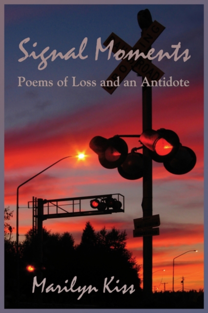 Signal Moments, Paperback / softback Book