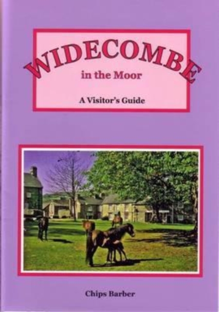 Widecombe : A Visitor's Guide, Paperback / softback Book