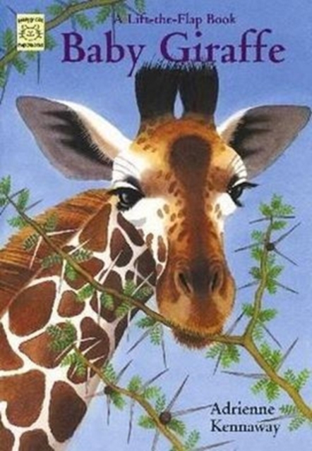 Baby Giraffe : A Lift-the-flap Book, Paperback Book