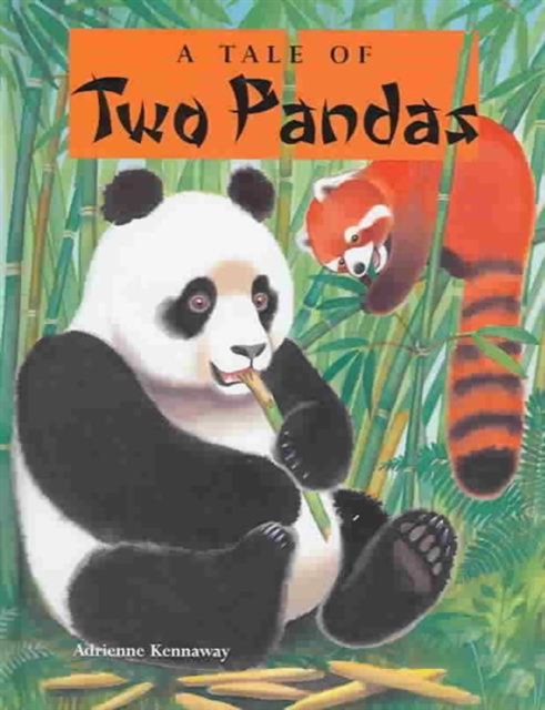 A Tale of Two Pandas, Hardback Book