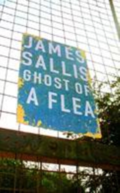 Ghost of a Flea, Paperback / softback Book