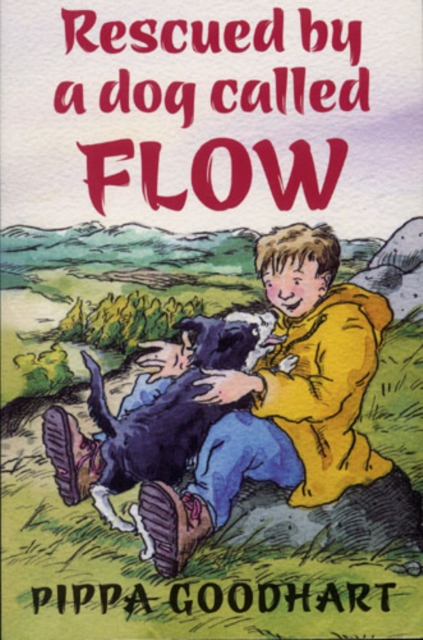 Rescued by a Dog Called Flow, Paperback Book