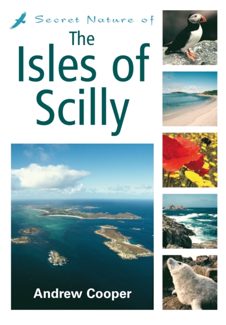 Secret Nature of the Isles of Scilly, Paperback / softback Book