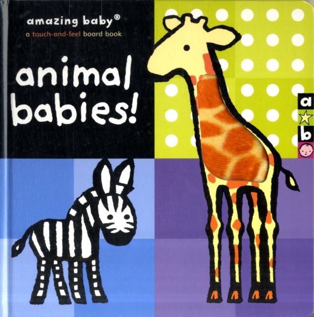 Amazing Baby : Animal Babies, Hardback Book
