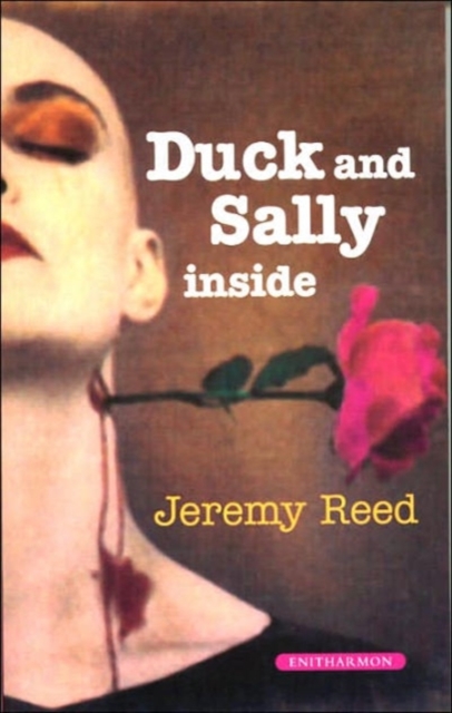 Duck and Sally on the Inside, Paperback Book