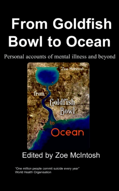 From Goldfish Bowl to Ocean, Paperback / softback Book