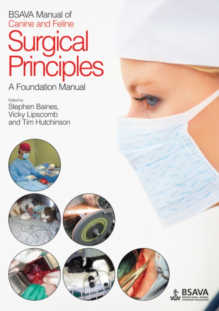 BSAVA Manual of Canine and Feline Surgical Principles : A Foundation Manual, Paperback / softback Book