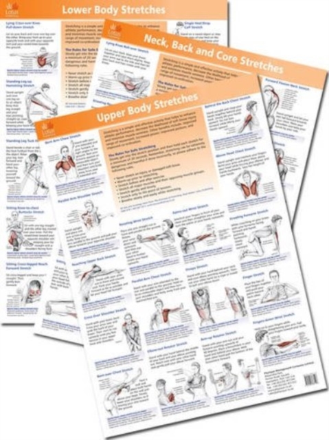 The Anatomy of Stretching Posters, Poster Book