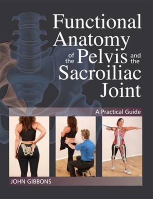 Functional Anatomy of the Pelvis and the Sacroiliac Joint : A Practical Guide, Paperback / softback Book