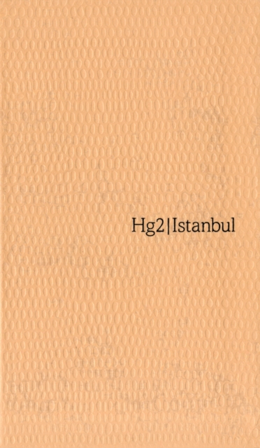 A Hedonist's Guide to Istanbul, Paperback Book