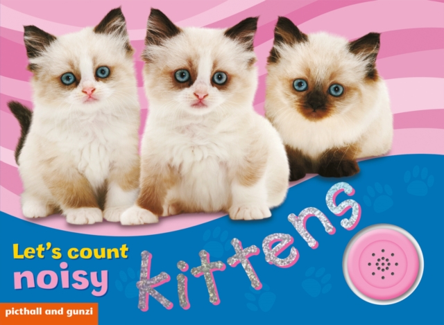 Noisy Kittens, Novelty book Book