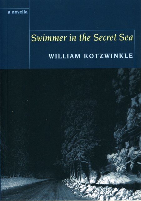 Swimmer in the Secret Sea, Paperback / softback Book