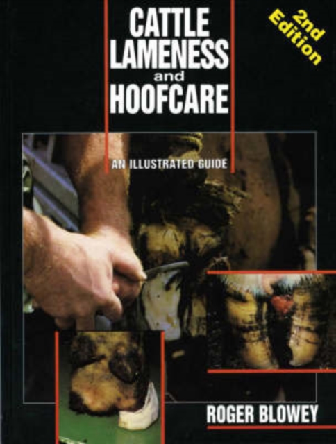 Cattle Lameness and Hoofcare, Hardback Book