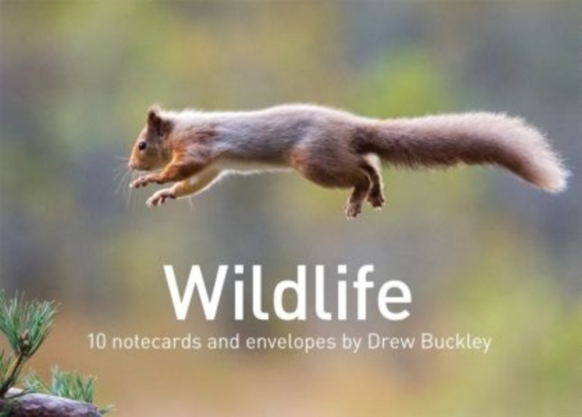Wildlife by Drew Buckley, Cards Book