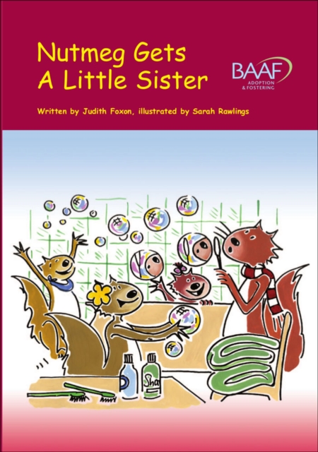 Nutmeg Gets a Little Sister, Paperback / softback Book