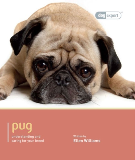 Pug- Dog Expert, Paperback / softback Book