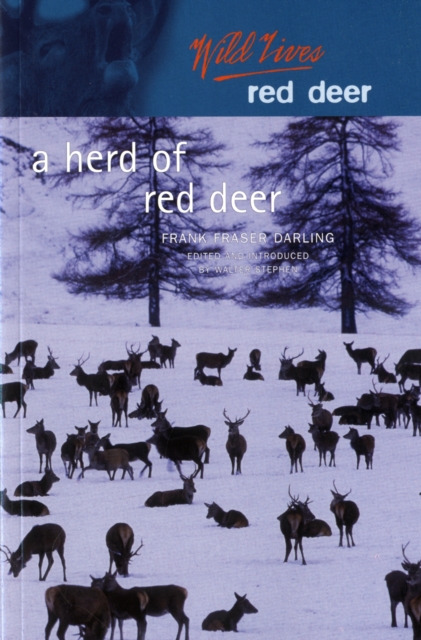 A Herd of Red Deer : A Study in Animal Behaviour, Paperback / softback Book