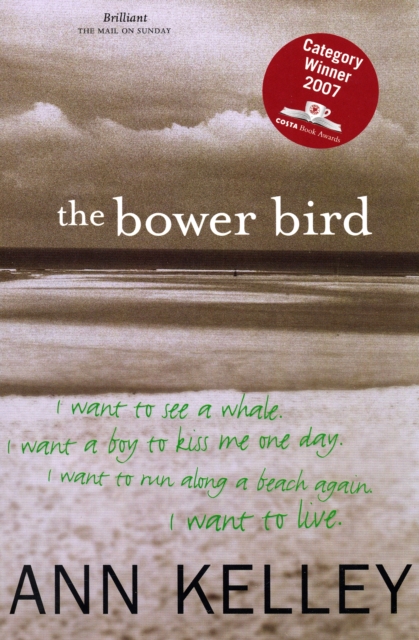 The Bower Bird, Paperback / softback Book