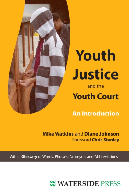 Youth Justice and The Youth Court, PDF eBook