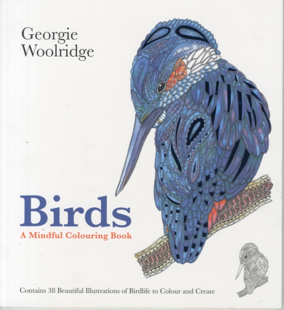 BIRDS, Paperback / softback Book