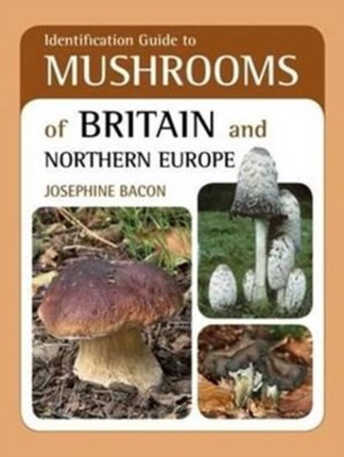 Identification Guide to Mushrooms of Britain and Northern Europe, Paperback Book
