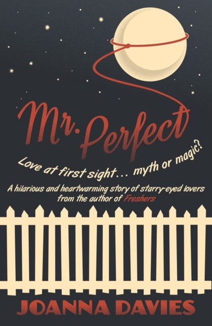Mr Perfect, Paperback / softback Book