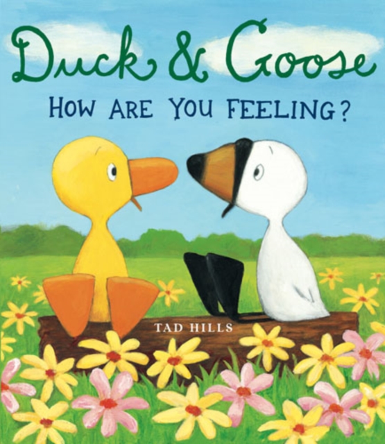DUCK AND GOOSE HOW ARE YOU FEELING, Hardback Book