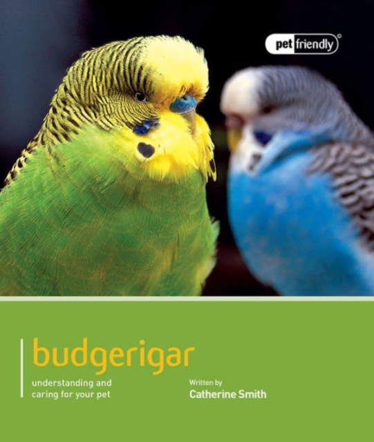 Budgeriegars - Pet Friendly, Paperback / softback Book