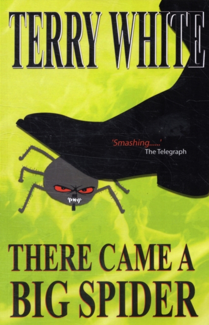 There Came a Big Spider, Paperback Book