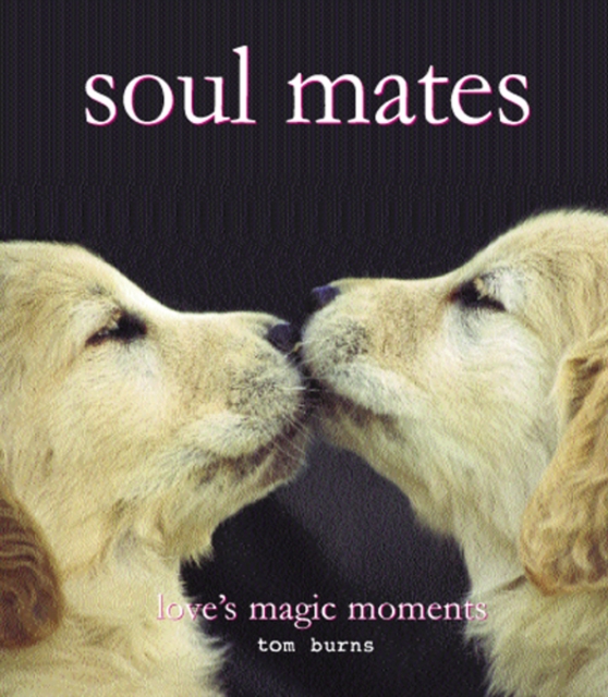 soul Mates, EPUB eBook