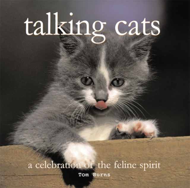 talking cats, EPUB eBook