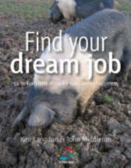 Find your dream job, PDF eBook
