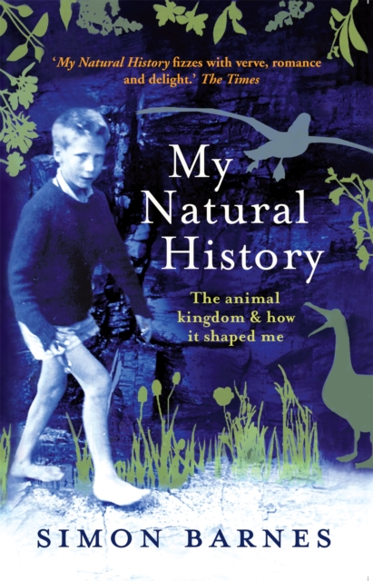 My Natural History : The Animal Kingdom and How it Shaped Me, Paperback / softback Book