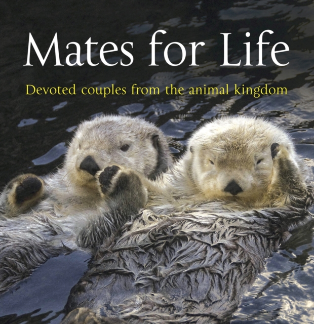Mates for Life, Paperback / softback Book