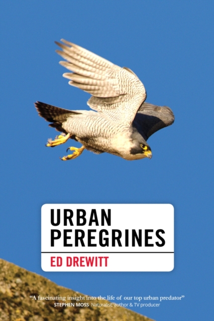 Urban Peregrines, EPUB eBook