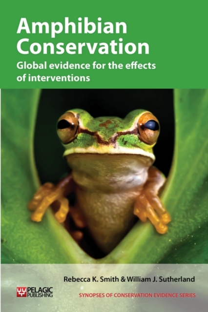 Amphibian Conservation : Global evidence for the effects of interventions, Paperback / softback Book