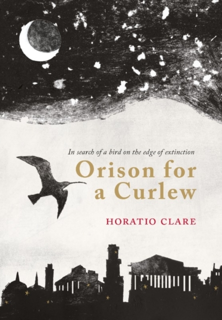 Orison for a Curlew, Hardback Book