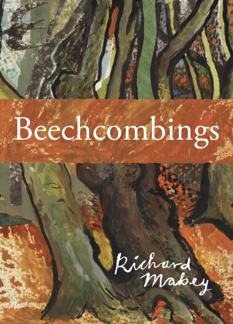 Beechcombings, Hardback Book