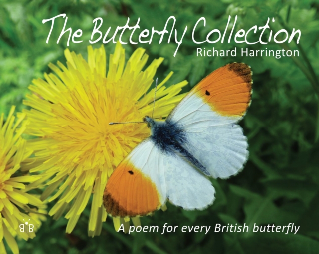 The Butterfly Collection, Hardback Book