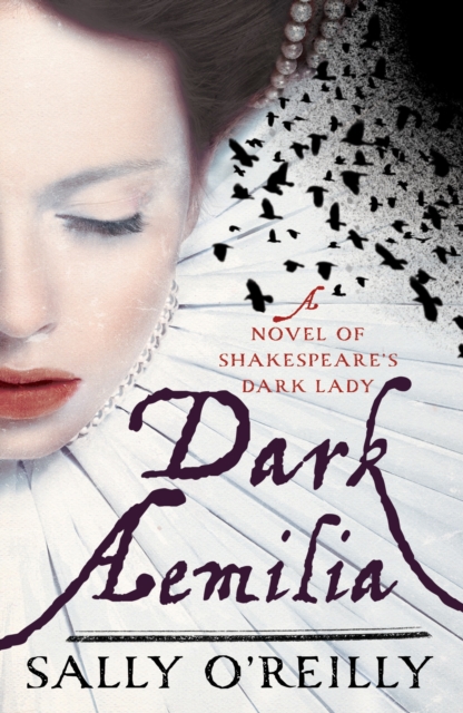 Dark Aemilia, Paperback / softback Book