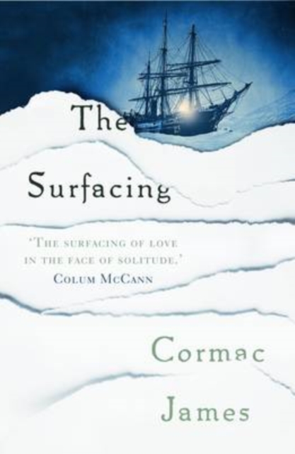 The Surfacing, Paperback Book