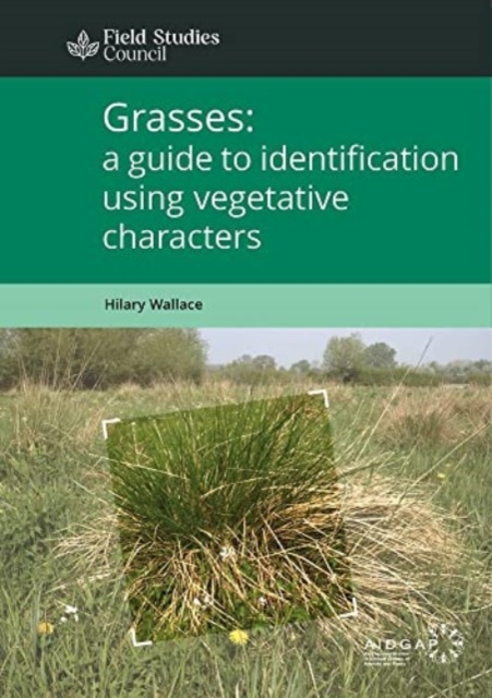 Grasses: a guide to identification using vegetative characters, Paperback / softback Book