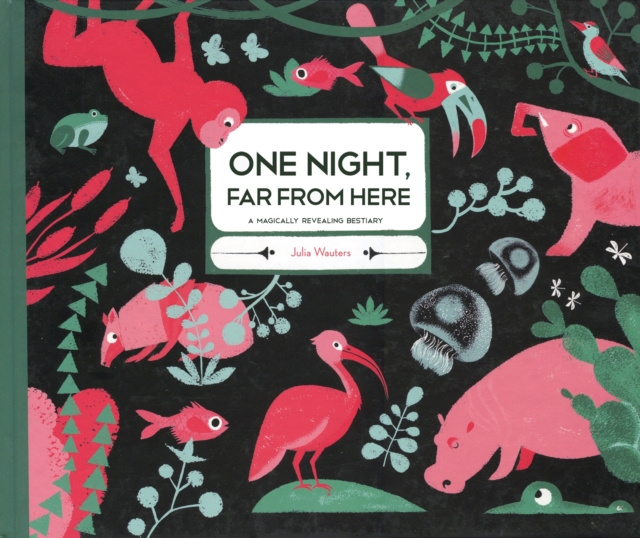 One Night Far From Here, Hardback Book