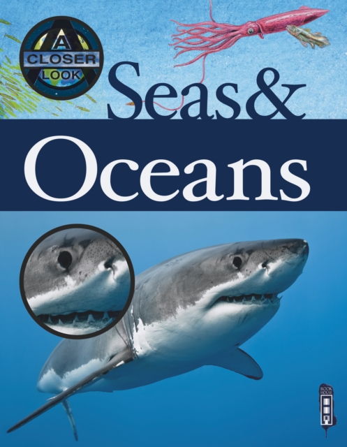 Seas & Oceans, Paperback / softback Book