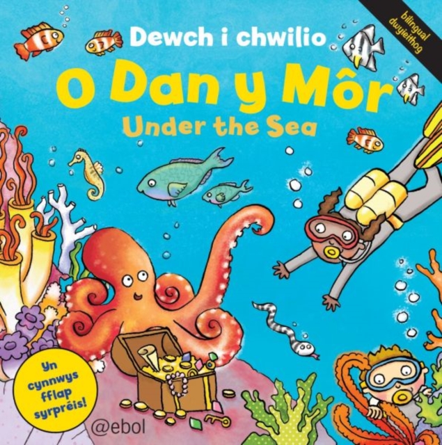 Cyfres Dewch i Chwilio: O dan y Mor, Hardback Book