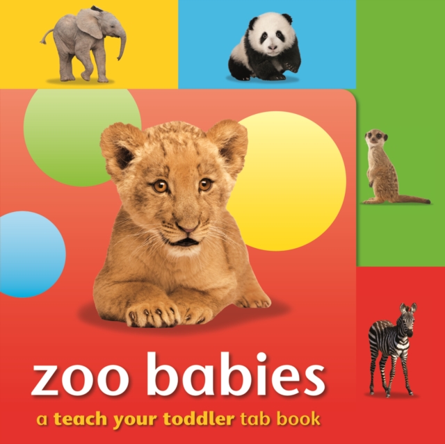 Teach Your Toddler Tab Books: Zoo Babies, Board book Book