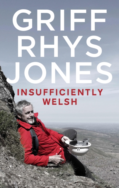 Insufficiently Welsh, EPUB eBook