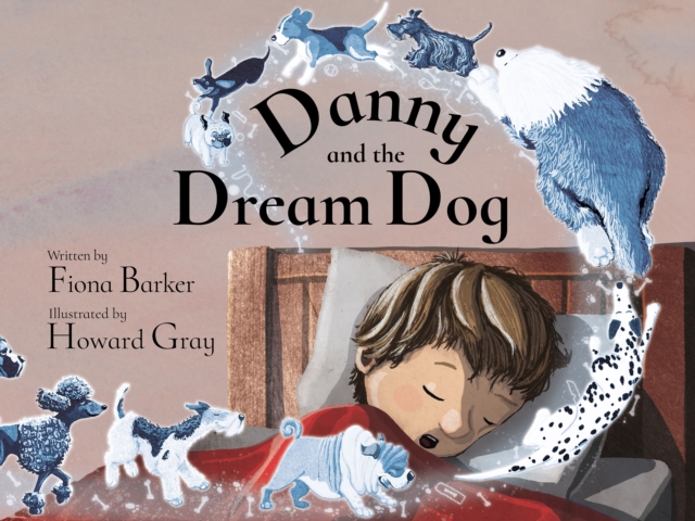 Danny and the Dream Dog, Paperback / softback Book